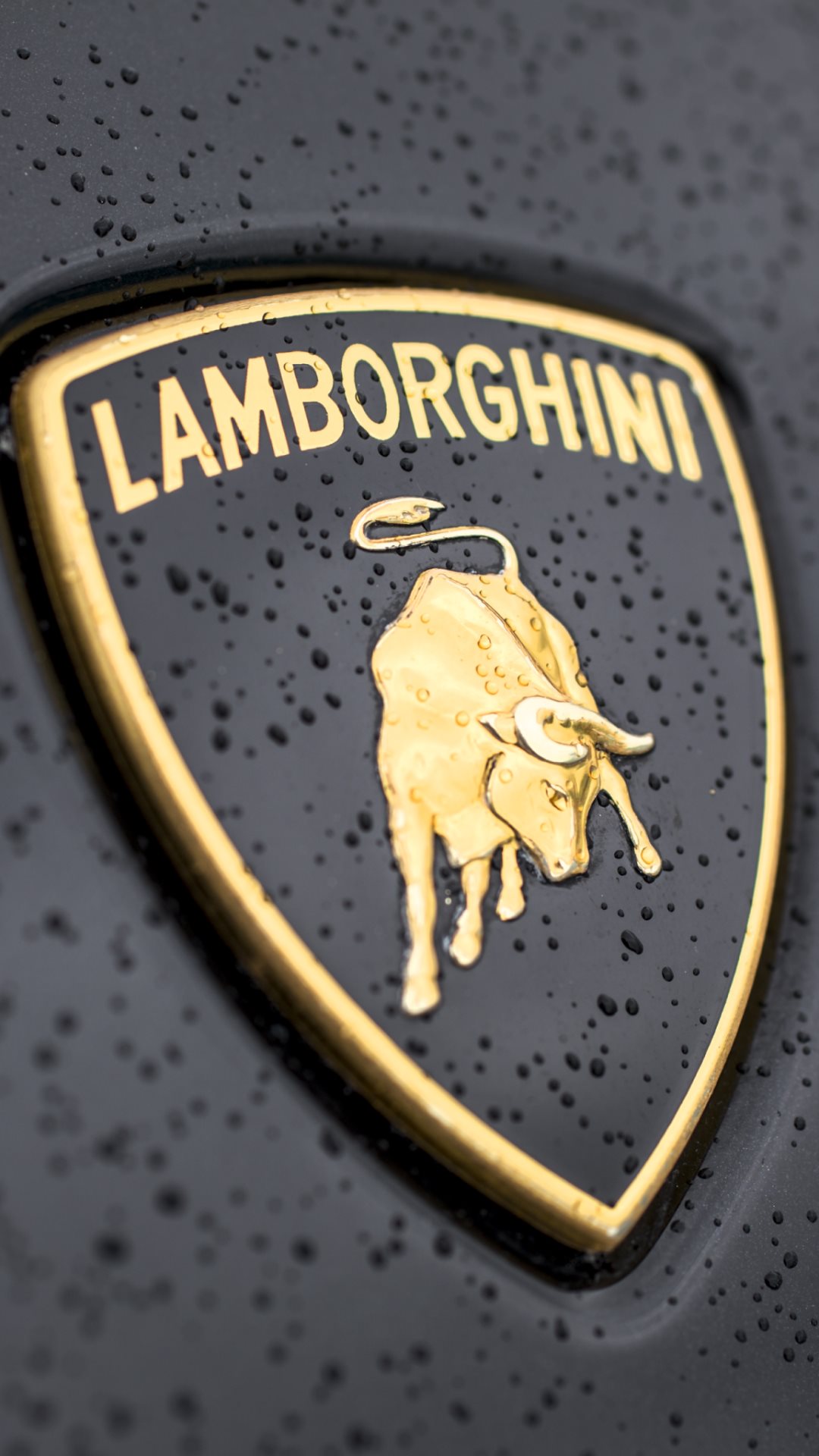 Lamborghini Logo Close-up Android Wallpaper.jpg
