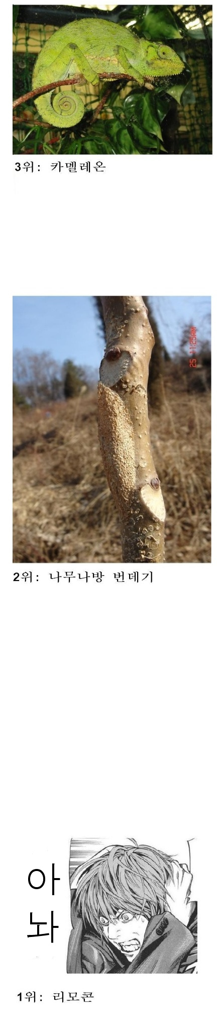 공감글.jpg